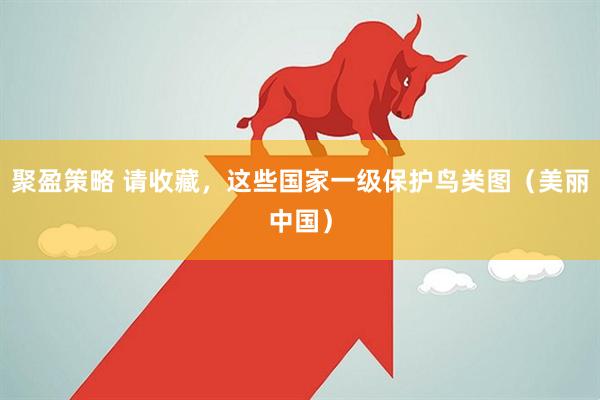 聚盈策略 请收藏，这些国家一级保护鸟类图（美丽中国）